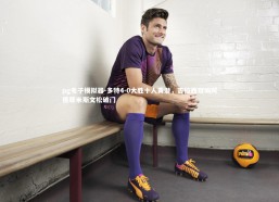 pg电子模拟器-多特4-0大胜十人黄潜，吉拉西双响阿德耶米斯文松破门