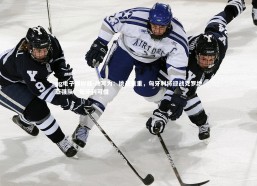 pg电子模拟器-改写为：挑战重重，匈牙利将迎战克罗地亚强队，匈牙利可惜