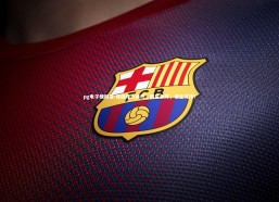 pg电子模拟器-绿茵烽火再燃，群星争辉，谁主沉浮？